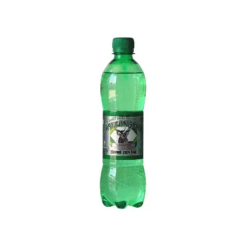 Горячий ключ газированная